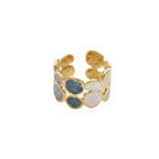 Geometric Open Ring